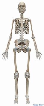Skeleton in Your Closet